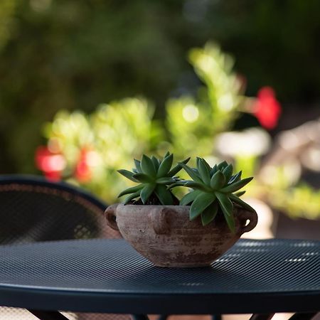Agriturismo Il Colle Сиена Екстериор снимка