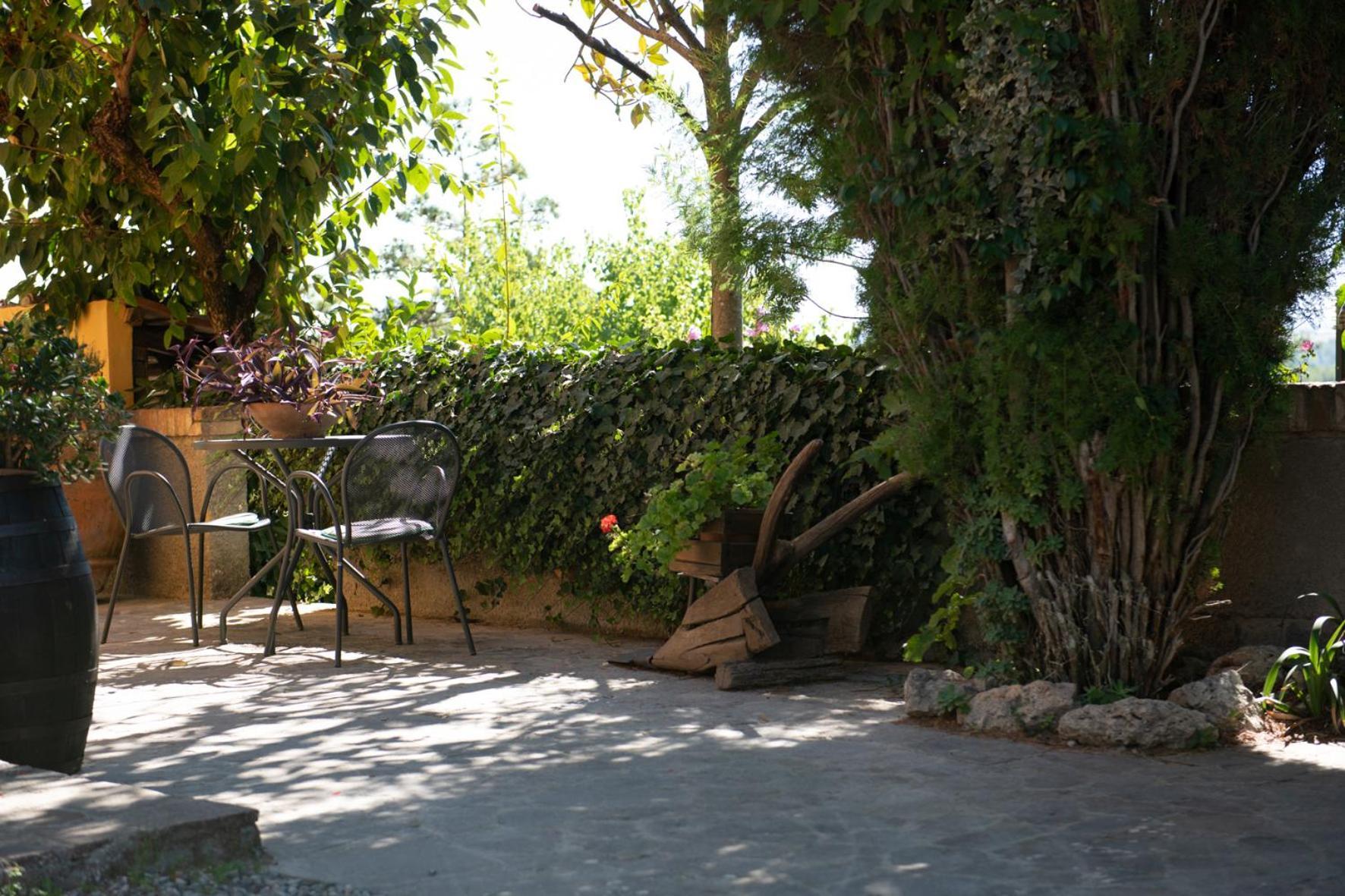 Agriturismo Il Colle Сиена Екстериор снимка
