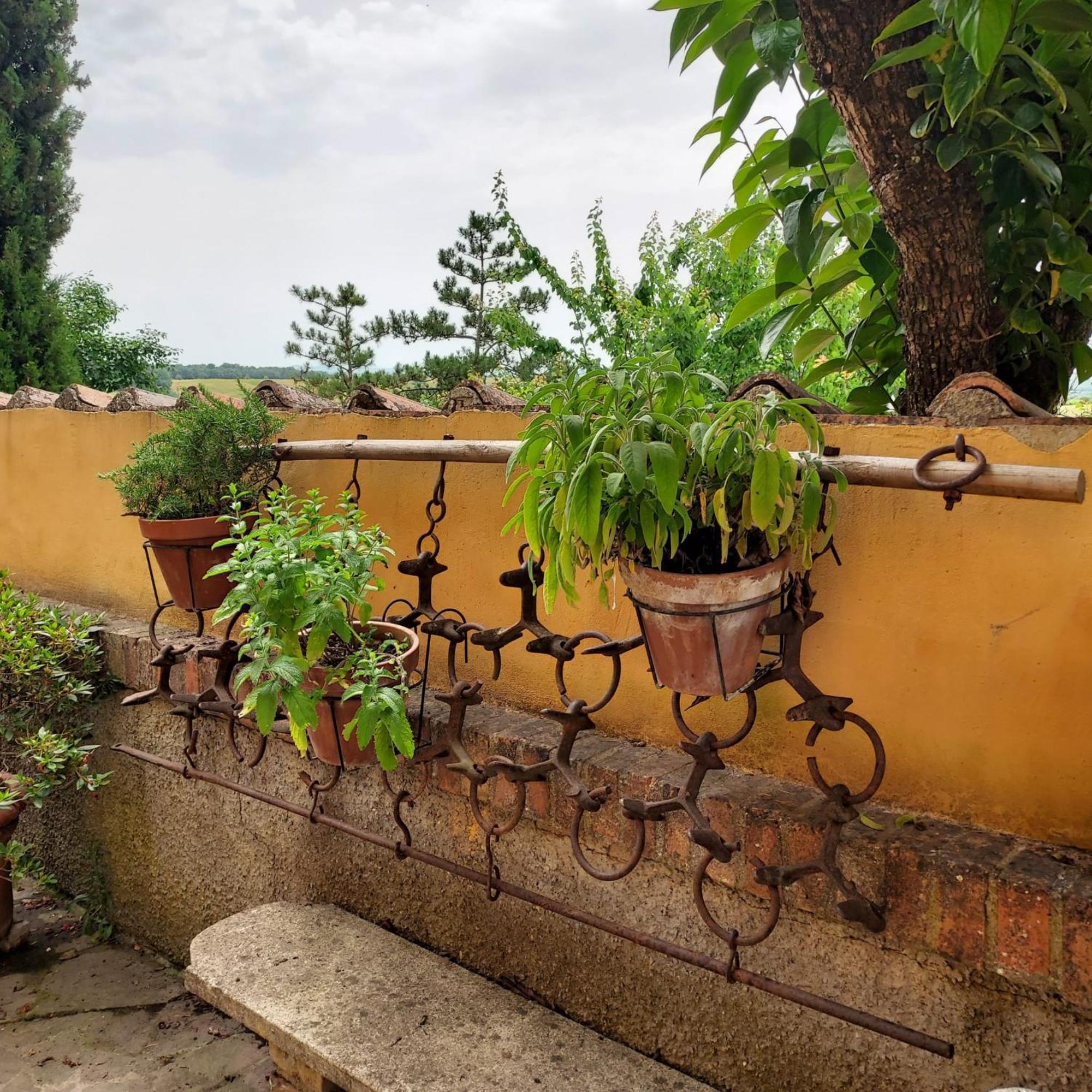 Agriturismo Il Colle Сиена Екстериор снимка