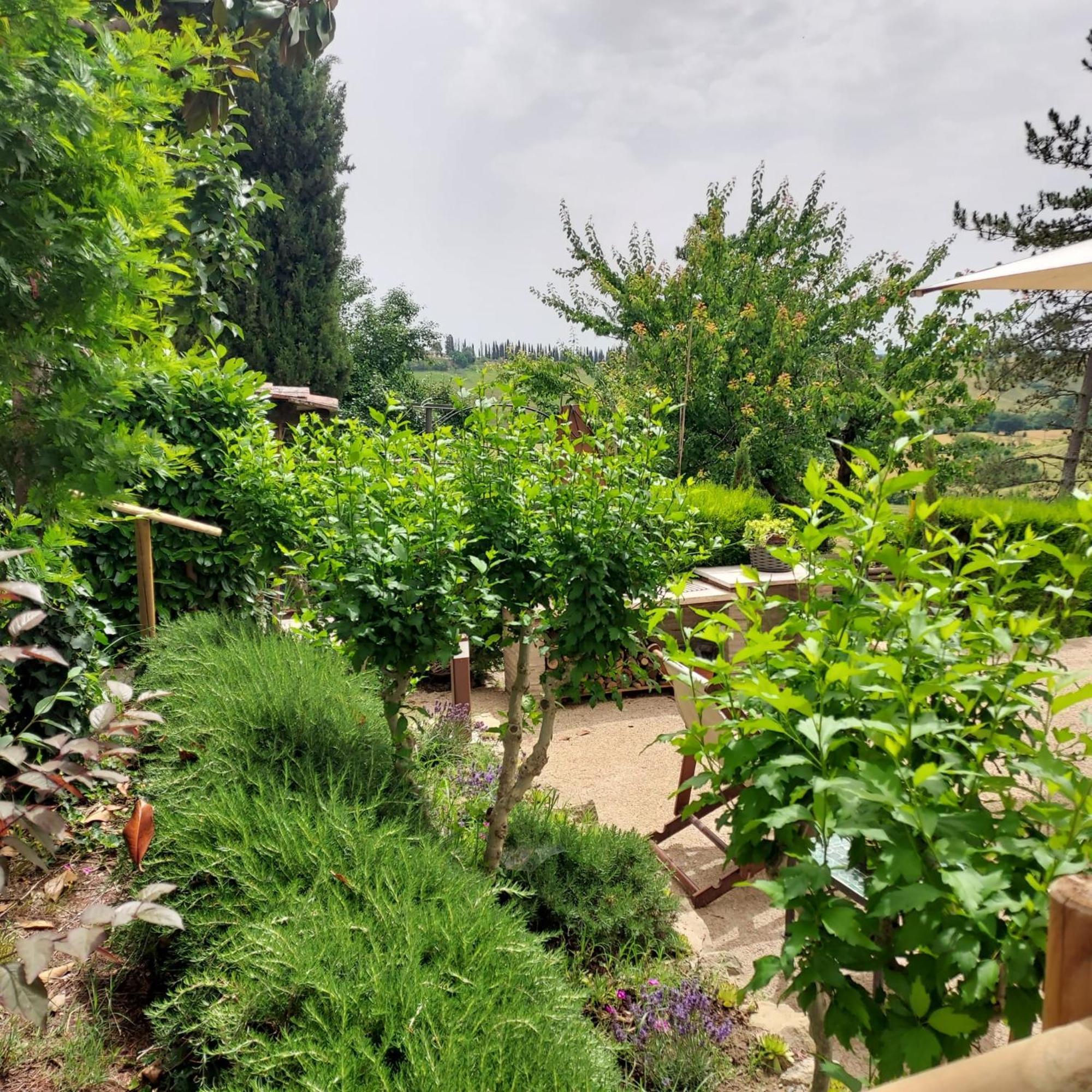 Agriturismo Il Colle Сиена Екстериор снимка