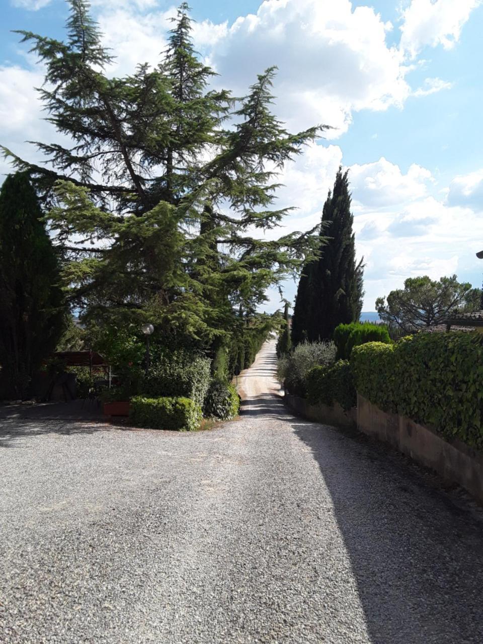 Agriturismo Il Colle Сиена Екстериор снимка